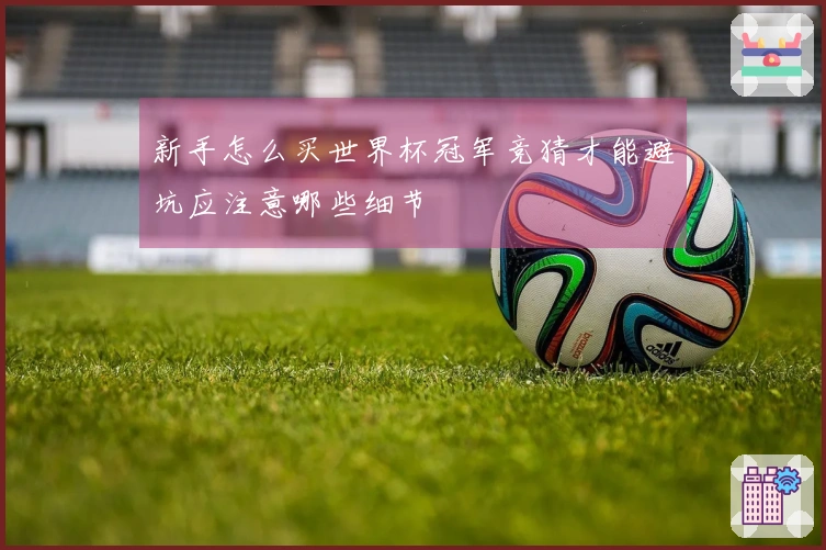 新手怎么买世界杯冠军竞猜才能避坑应注意哪些细节