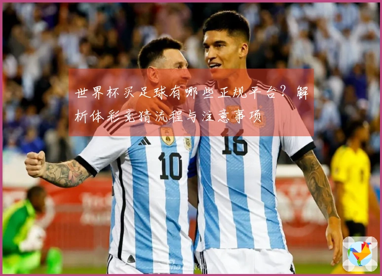 世界杯买足球有哪些正规平台？解析体彩竞猜流程与注意事项